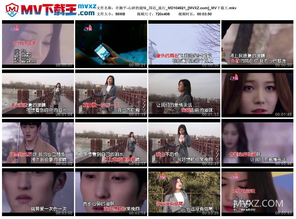 许湘平-心碎的滋味_国语_流行_MD104921